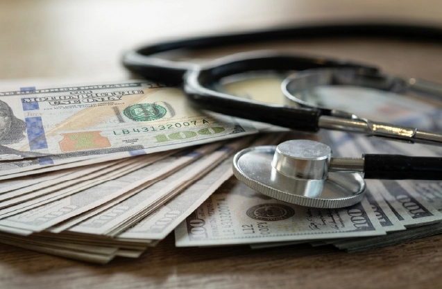 Analyst reviewing healthcare financial audits